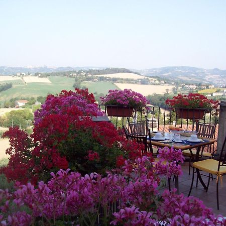 Ripa La Terrazza Fio...Rita B&B 외부 사진
