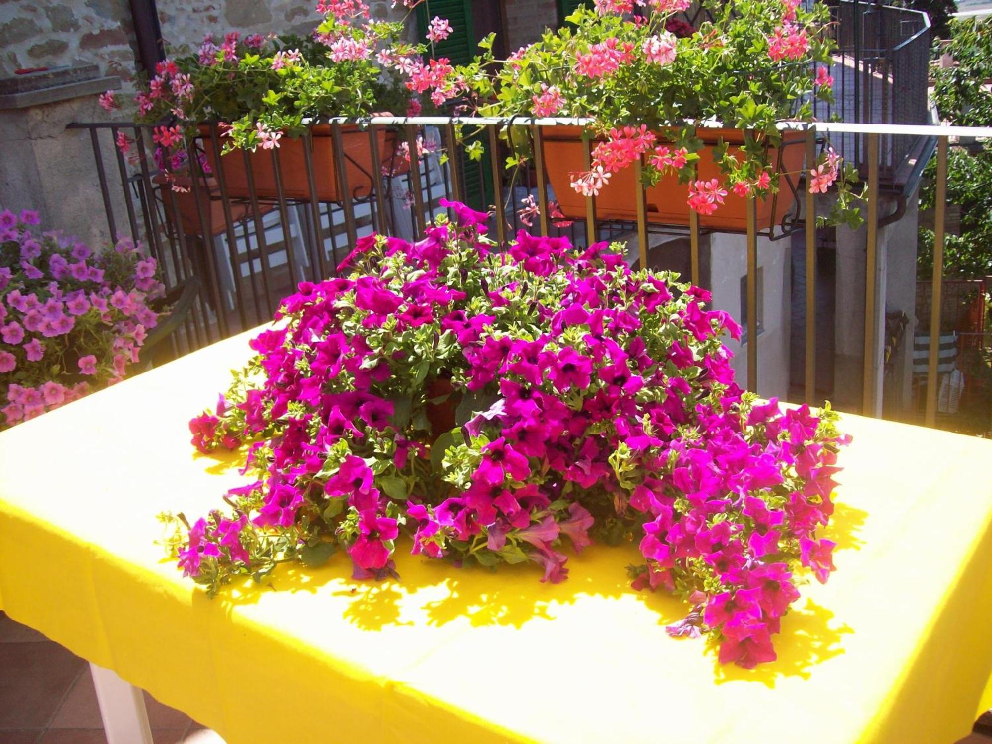 Ripa La Terrazza Fio...Rita B&B 외부 사진
